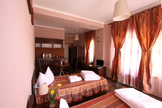Отель Ave Hotel Victoriei Бухарест