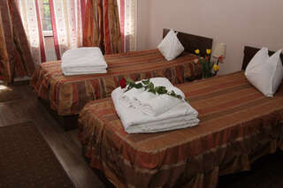 Отель Ave Hotel Victoriei Бухарест Двухместный номер с 1 кроватью или 2 отдельными кроватями-5
